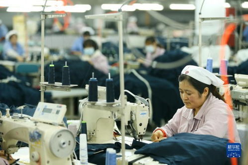 山東即墨 村頭工廠 助就業(yè)