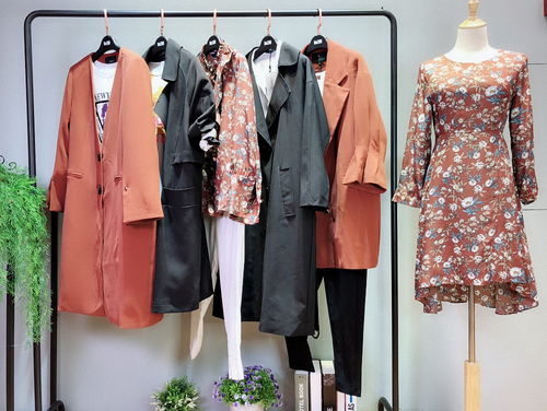 溆牌2018新款秋裝 休閑時(shí)尚女裝精品貨源